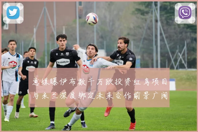 意媒曝伊布数千万欧投资红鸟项目与米兰深度绑定未来合作前景广阔
