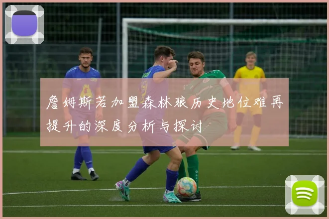 詹姆斯若加盟森林狼历史地位难再提升的深度分析与探讨